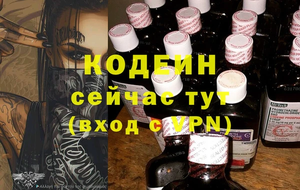 прущие крисы Балахна