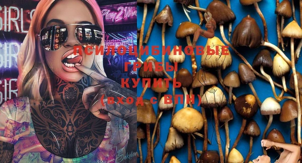 мдпв Баксан