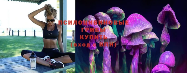 скорость Пролетарск